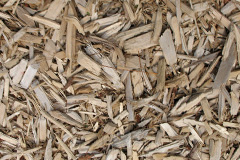 biomass boilers Bintree