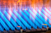 Bintree gas fired boilers